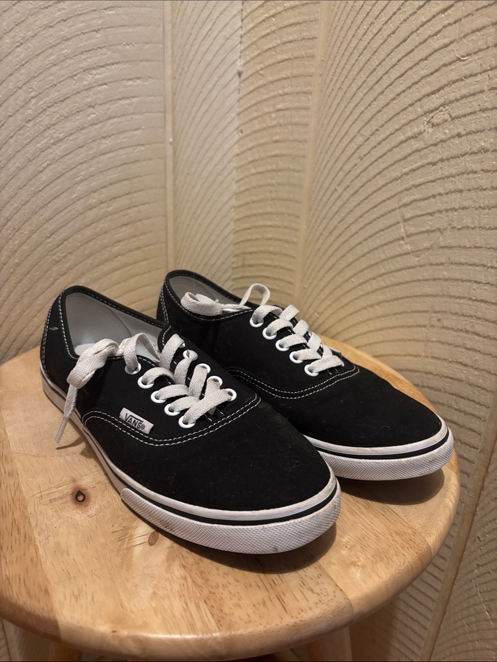 Vans Black and White Low-Top Canvas Sneakers